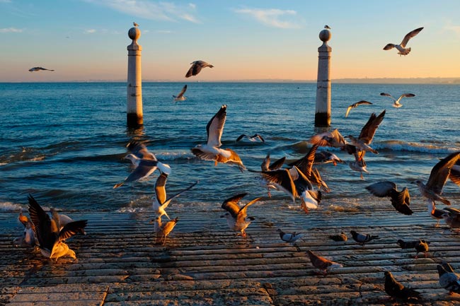 Portugal está a afundar — e ainda fingimos que está tudo bem Portugal está a afundar — e ainda fingimos que está tudo bem