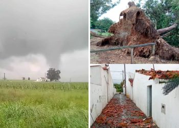 Ventos impiedosos varrem o Alentejo: casas danificadas, árvores arrancadas e medo nos olhos das populações