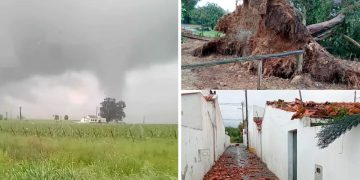 Ventos impiedosos varrem o Alentejo: casas danificadas, árvores arrancadas e medo nos olhos das populações
