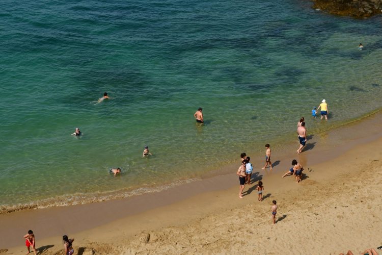 Alerta no Mediterrâneo: “Diabos do Mar” surgem na costa mediterrânica e podem chegar às praias portuguesas