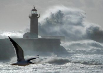 Ciclone pós-tropical Erin provoca alerta do IPMA: ondas até 7 metros podem engolir praias no litoral português
