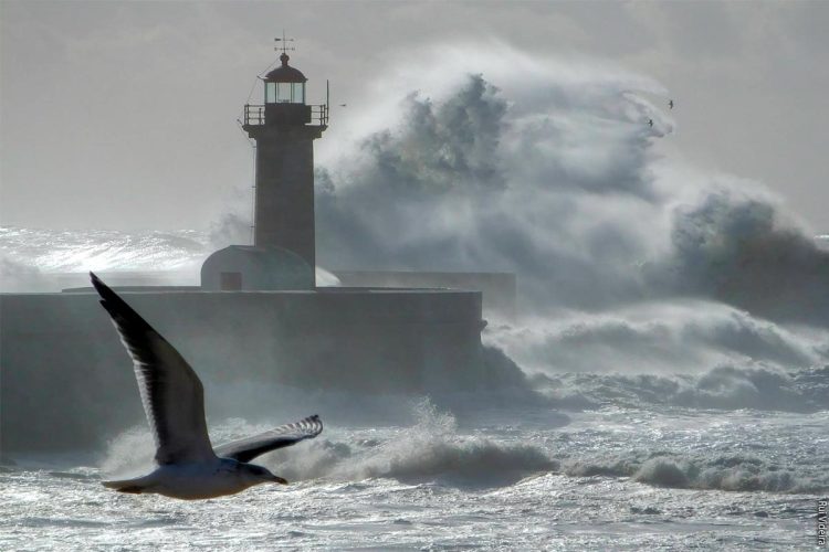 Ciclone pós-tropical Erin provoca alerta do IPMA: ondas até 7 metros podem engolir praias no litoral português