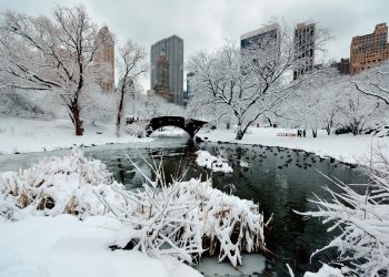 Neve em Lisboa como em Nova Iorque? IPMA revela cenário surpreendente para o futuro