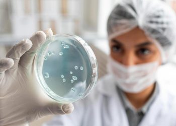 Candidozyma auris: o vírus mortal está a espalhar-se pela Europa