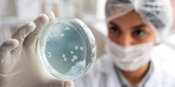 Candidozyma auris: o vírus mortal está a espalhar-se pela Europa