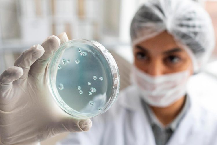 Candidozyma auris: o vírus mortal está a espalhar-se pela Europa