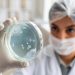 Candidozyma auris: o vírus mortal está a espalhar-se pela Europa