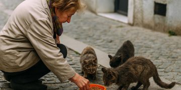 Multa superior a 1.000€ por alimentar animais na via pública