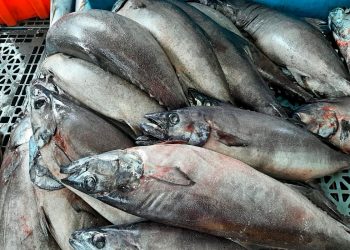 Alerta europeu: o perigoso “sabor proibido” que continua a ser servido em Portugal