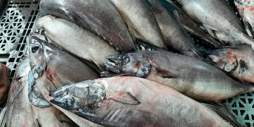 Alerta europeu: o perigoso “sabor proibido” que continua a ser servido em Portugal