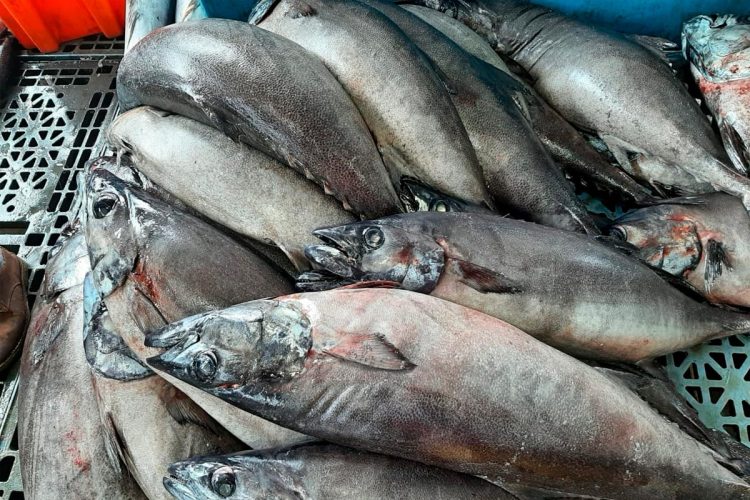 Alerta europeu: o perigoso “sabor proibido” que continua a ser servido em Portugal