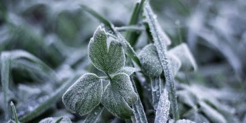 Massa de ar polar traz frio extremo e geadas a Portugal esta semana
