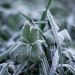 Massa de ar polar traz frio extremo e geadas a Portugal esta semana