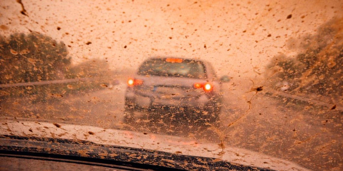 Chuva de lama, poeiras africanas e calor: Portugal entra em semana de tempo instável