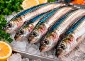 5 segredos que ninguém conta para comprar e saborear as melhores sardinhas