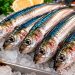 5 segredos que ninguém conta para comprar e saborear as melhores sardinhas