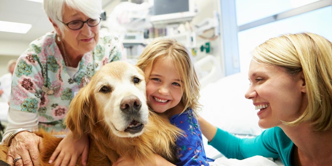 Cheque Veterinário: o apoio pouco conhecido que garante consultas e tratamentos gratuitos para animais