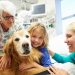 Cheque Veterinário: o apoio pouco conhecido que garante consultas e tratamentos gratuitos para animais