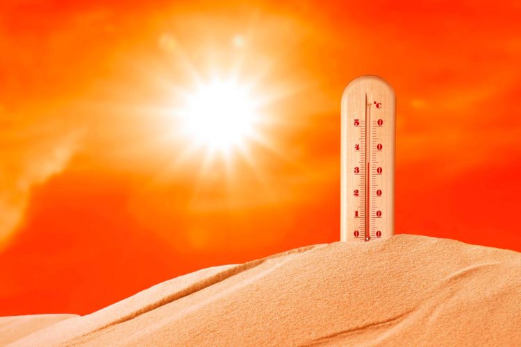 IPMA confirma calor intenso em Portugal: temperaturas podem ultrapassar os 40 graus, mas nada de alarmismo IPMA confirma calor intenso em Portugal: temperaturas podem ultrapassar os 40 graus, mas nada de alarmismo