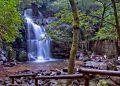 Cascata da Cabreia: uma das cascatas mais fascinantes de Portugal
