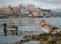 Porque se chama Porto? A fascinante história por detrás do nome da cidade que deu origem a Portugal