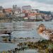 Porque se chama Porto? A fascinante história por detrás do nome da cidade que deu origem a Portugal Porque se chama Porto? A fascinante história por detrás do nome da cidade que deu origem a Portugal