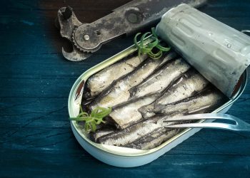 Nem leite nem iogurte: este peixe tem mais cálcio, protege o cérebro e fortalece os ossos