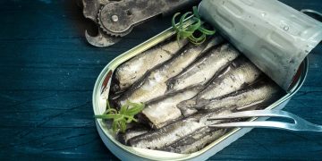 Nem leite nem iogurte: este peixe tem mais cálcio, protege o cérebro e fortalece os ossos