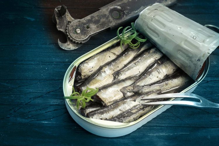 Nem leite nem iogurte: este peixe tem mais cálcio, protege o cérebro e fortalece os ossos