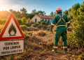 Risco imediato! Terrenos por limpar podem custar até 25 mil euros Risco imediato! Terrenos por limpar podem custar até 25 mil euros
