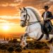 Puro-Sangue Lusitano: a história do cavalo português que conquistou o mundo há milhares de anos