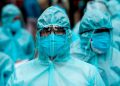 Vírus do Nilo Ocidental preocupa a Europa: especialistas admitem que Portugal poderá registar novos casos