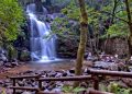 Cascata da Cabreia: uma das mais belas cascatas de Portugal e o paraíso escondido de Sever do Vouga Cascata da Cabreia: descubra uma das mais belas cascatas de Portugal e o paraíso escondido de Sever do Vouga