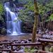 Cascata da Cabreia: descubra uma das mais belas cascatas de Portugal e o paraíso escondido de Sever do Vouga