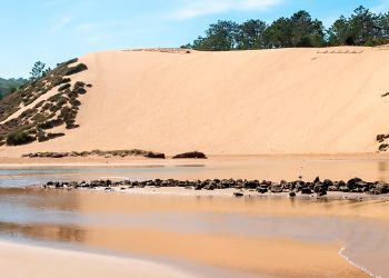A maior duna de Portugal e uma das maiores da Europa: um gigante de areia com 50 metros que parece saído de outro mundo