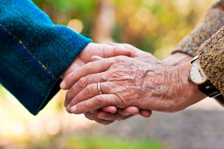 Apoios para reformados em Portugal: conheça os Apoios Sociais disponíveis Apoios para reformados em Portugal: conheça os Apoios Sociais disponíveis