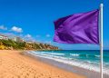 Bandeira roxa na praia: saiba o que significa este alerta e porque nunca o deve ignorar
