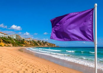 Bandeira roxa na praia: saiba o que significa este alerta e porque nunca o deve ignorar
