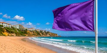 Bandeira roxa na praia: saiba o que significa este alerta e porque nunca o deve ignorar