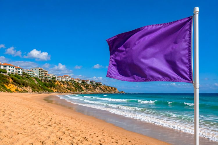 Bandeira roxa na praia: saiba o que significa este alerta e porque nunca o deve ignorar Bandeira roxa na praia: saiba o que significa este alerta e porque nunca o deve ignorar