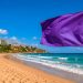 Bandeira roxa na praia: saiba o que significa este alerta e porque nunca o deve ignorar