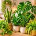 9 plantas de interior que necessitam de pouca luz e são perfeitas para apartamentos