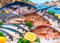 Médicos lançam alerta: há peixes do supermercado que deve evitar
