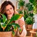 O inimigo invisível das suas plantas de interior (e não é a falta de água) O inimigo invisível das suas plantas de interior (e não é a falta de água)