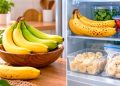 Bananas no frigorífico: sim ou não? Bananas no frigorífico: sim ou não?