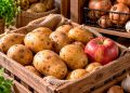 Batatas a grelar? O truque da maçã para as conservar por mais tempo Batatas a grelar? O truque da maçã para as conservar por mais tempo