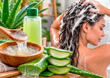 Champô de aloé vera caseiro: como preparar e cuidar do cabelo corretamente