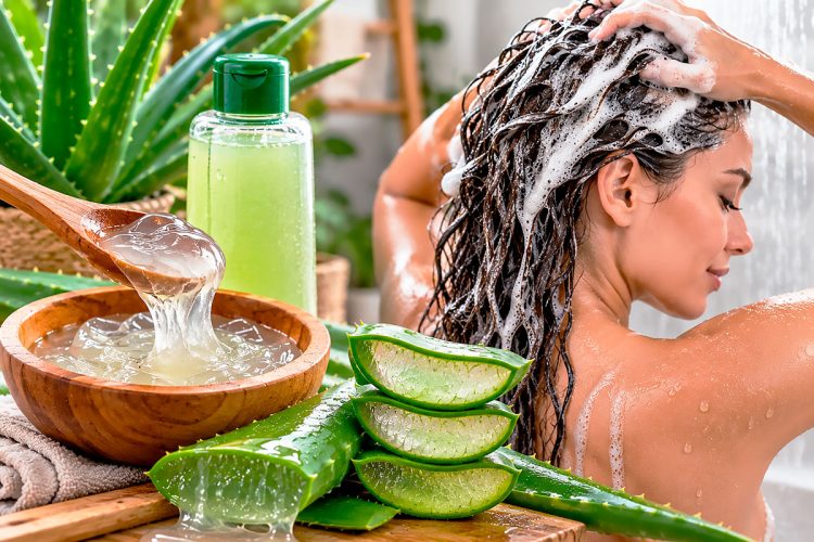 Champô de aloé vera caseiro: como preparar e cuidar do cabelo corretamente