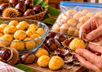 Como descascar castanhas facilmente e congelá-las para ter todo o ano