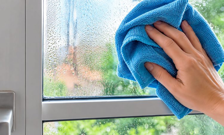 Como reduzir a humidade em casa: 8 dicas para evitar bolor e manchas nas paredes Como reduzir a humidade em casa: 8 dicas para evitar bolor e manchas nas paredes